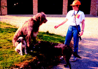 John Entwistle - Lisa and dogs