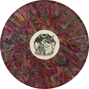 The Genius Of Peter Townshend - LP Storytime - Splash Wax Disc
