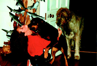 John Entwistle - Dogs greeting Lisa