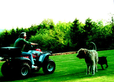 John Entwistle - Lawnmower man!