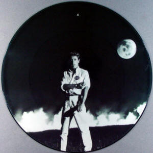 Roger Daltrey - After The Fire - Picture Disc