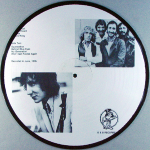 The Who - Live At Swansea - LP (Picture Disc B)