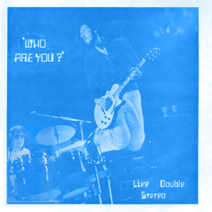 The Who - Who Are You - LP