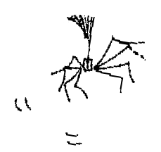 John Entwistle - More Spider Artwork